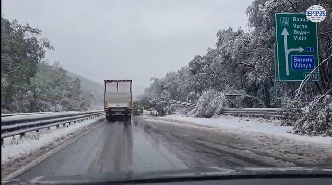 Паднали дървета и сняг затрудняват движението по магистрала „Хемус“ в района на тунел „Витиня“