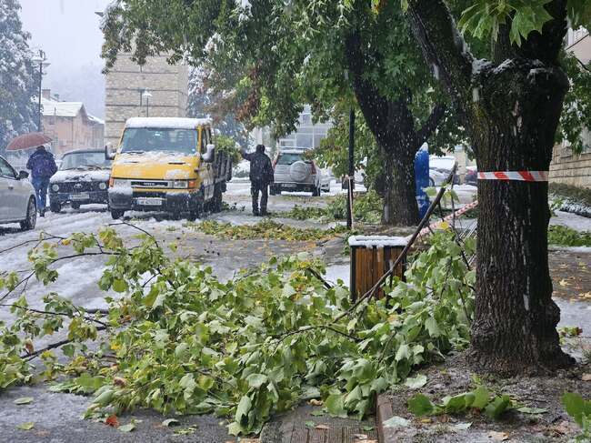Електрозахранването на много места в община Берковица е прекъснато поради обилния снеговалеж и паднали дървета