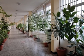 Бургас - Професионална гимназия по туризъм  "Проф. д-р Асен Златаров" - участие в инициативата "Светилник"