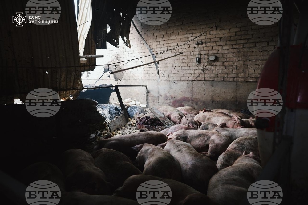 Russia Ukraine War