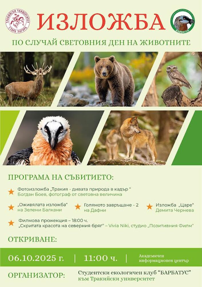 Стара Загора ще отбележи Световния ден за защита на животните с изложби и филмова прожекция