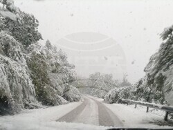 Снимка: Областна администрация Видин