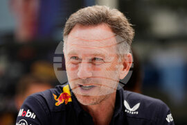 F1-Horner Auto Racing
