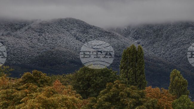 БТС подкрепя предстоящи промени в законодателството, свързани с устойчивото развитие на планинския туризъм, съобщиха от ресорното министерство