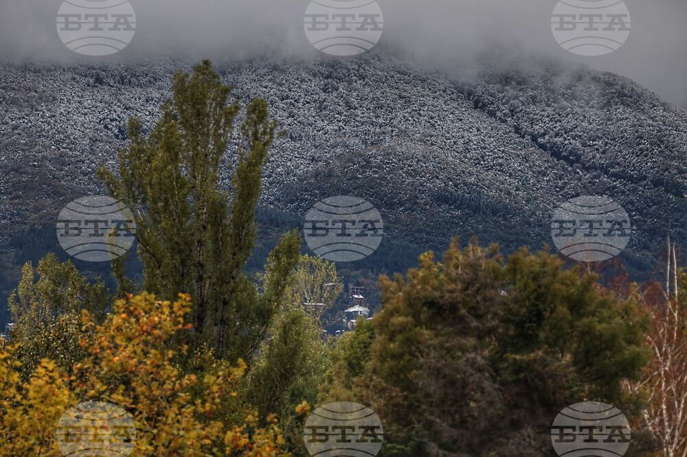 В София тази есен са засадени над 1500 дървета, съобщиха от Столичната община