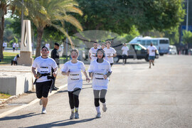 Iraq Independence Day