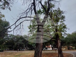 Снимка: Пресофис на Иван Белчев