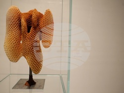 СБХ - Национална изложба скулптура „2-0-2-5“- откриване