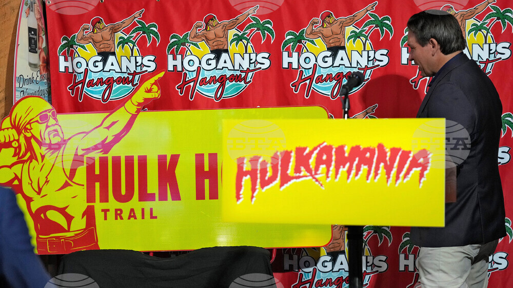Florida Hulk Hogan
