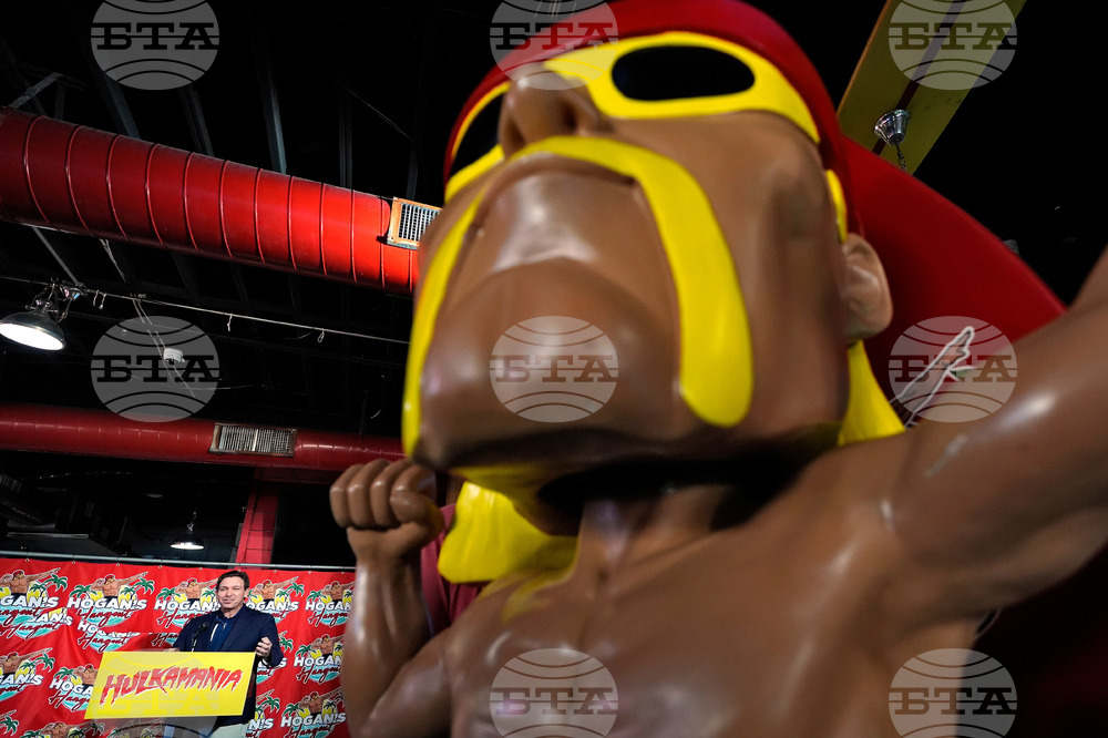 Florida Hulk Hogan