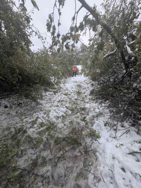 Екип на земенската пожарна и Аварийно-спасителния отряд към Община Перник евакуираха семейство от с. Одраница