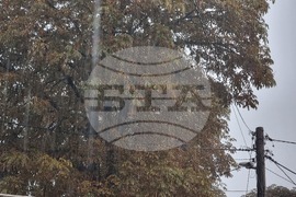 Добрич - интензивни валежи