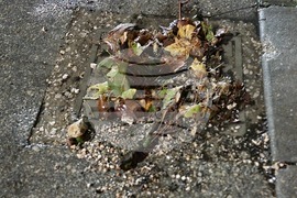 Добрич - интензивни валежи