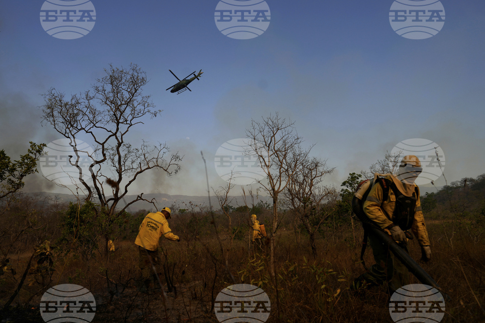 Brazil Wildfire