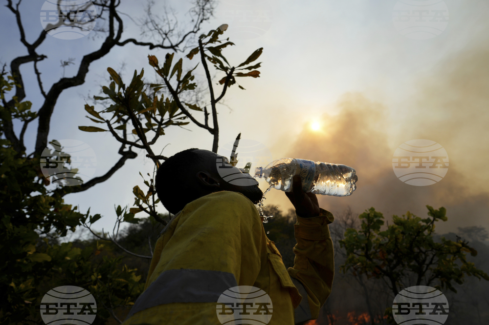 Brazil Wildfire