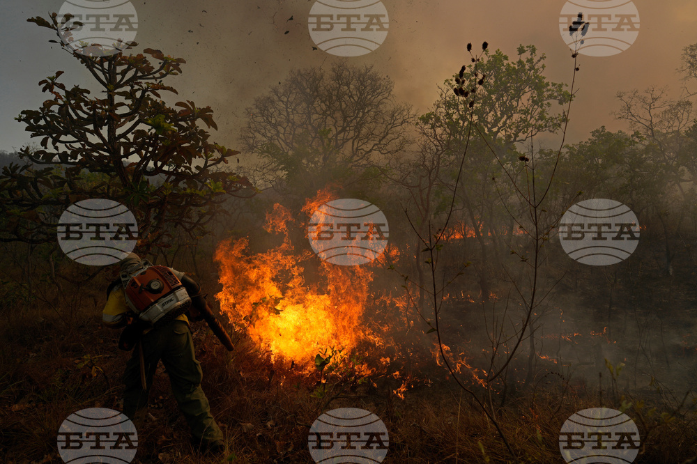 Brazil Wildfire