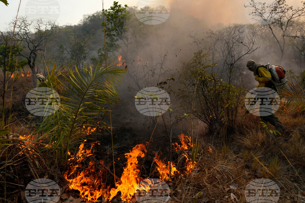 Brazil Wildfire
