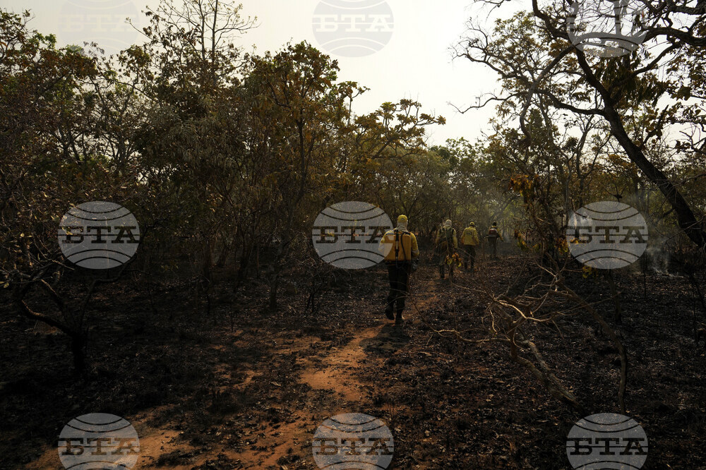 Brazil Wildfire