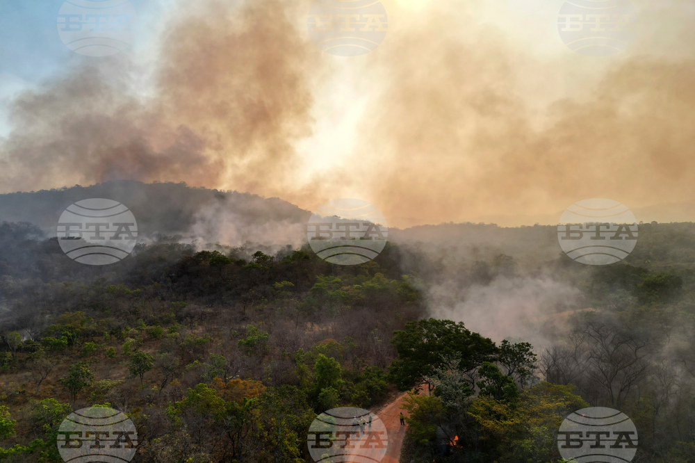 Brazil Wildfire