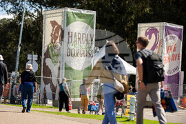 Hardly Strictly Bluegrass Festival