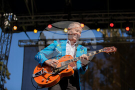 Hardly Strictly Bluegrass Festival