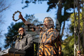 Hardly Strictly Bluegrass Festival