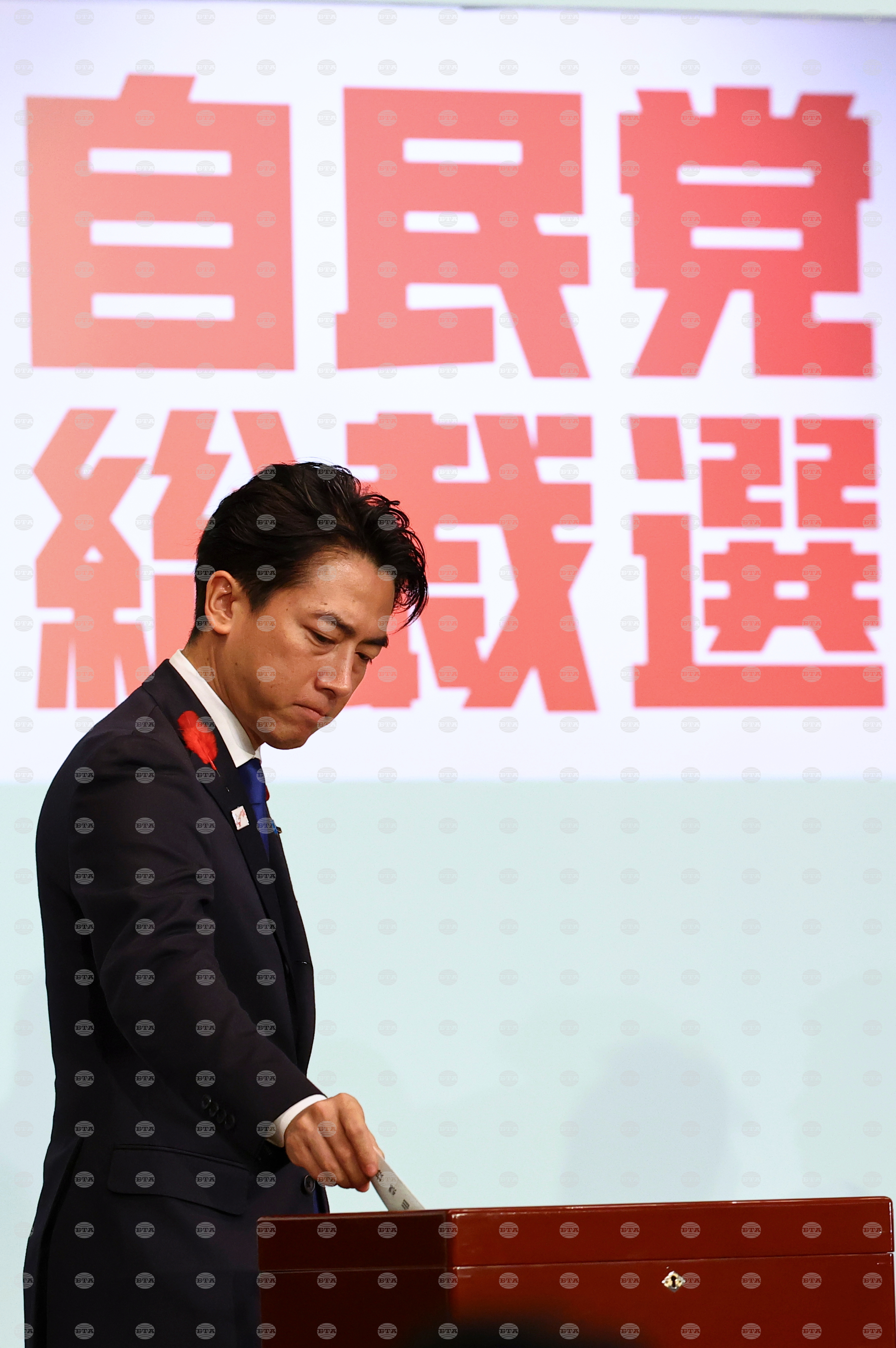 Japan Politics