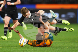 Australia New Zealand Rugby