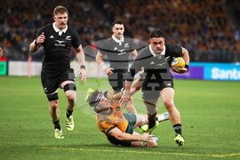 Australia New Zealand Rugby