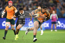 Australia New Zealand Rugby