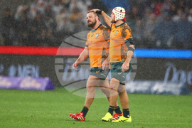 Australia New Zealand Rugby