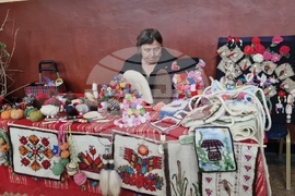 Село Топчии - читалище - юбилейна годишнина