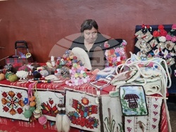 Село Топчии - читалище - юбилейна годишнина