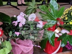 Село Топчии - читалище - юбилейна годишнина