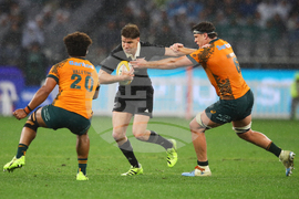 Australia New Zealand Rugby