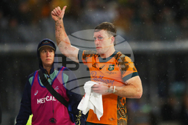 Australia New Zealand Rugby