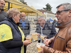 Село Нова Черна - Фестивал на мамалигата