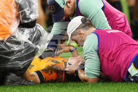 Australia New Zealand Rugby