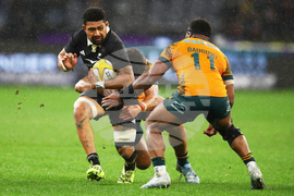 Australia New Zealand Rugby