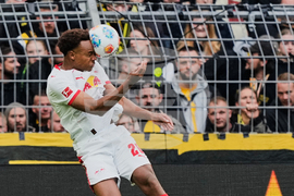 Germany Soccer Bundesliga