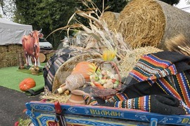 Горна Оряховица - фестивал - откриване