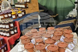 Горна Оряховица - фестивал - откриване