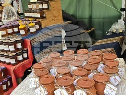 Горна Оряховица - фестивал - откриване