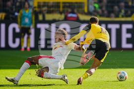 Germany Soccer Bundesliga