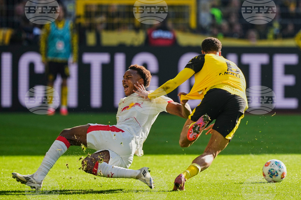 Germany Soccer Bundesliga