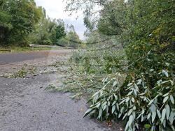 Трекляно - електричество - авария