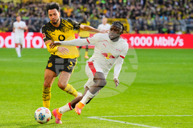 Germany Soccer Bundesliga