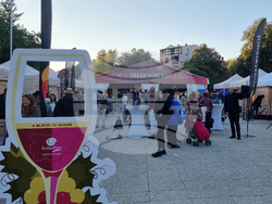 Пловдив - Urban Wine Fest - oткриване
