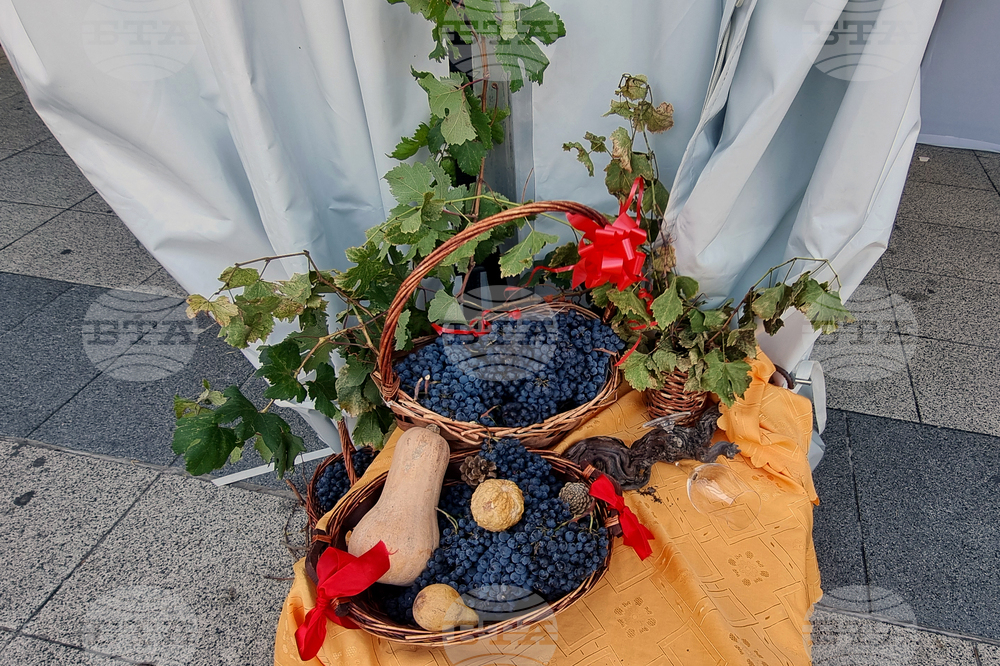 Пловдив - Urban Wine Fest - oткриване
