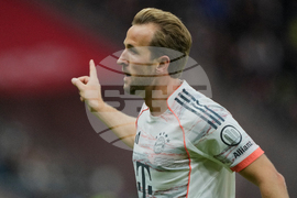 Germany Soccer Bundesliga